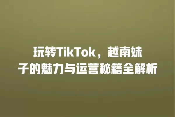 玩转TikTok,越南妹子的魅力与运营秘籍全解析 一