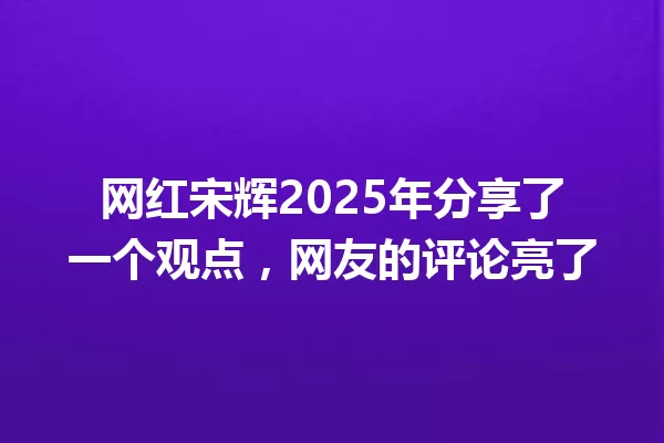 网红宋辉2025年分享了一个观点,网友的评论亮了 一