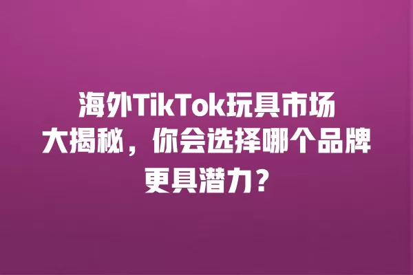 海外TikTok玩具市场大揭秘，你会选择哪个品牌更具潜力？ 一