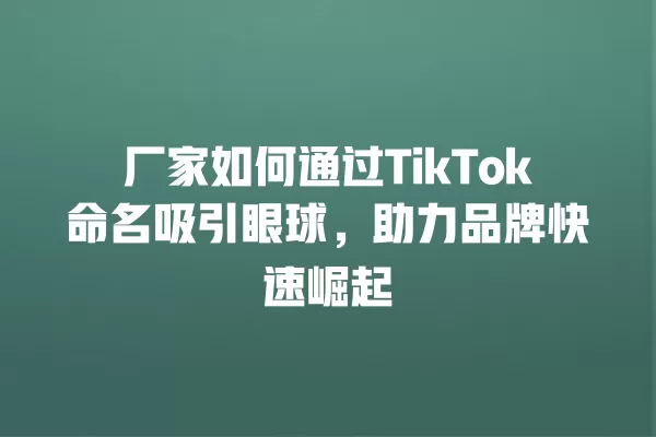 厂家如何通过TikTok命名吸引眼球,助力品牌快速崛起 一