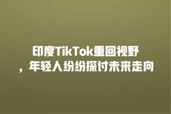 印度TikTok重回视野,年轻人纷纷探讨未来走向 一