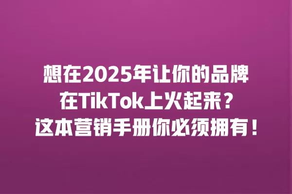 想在2025年让你的品牌在TikTok上火起来?这本营销手册你必须拥有! 一