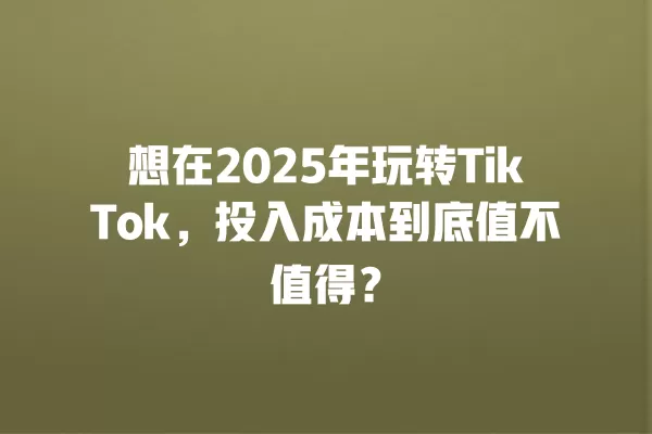 想在2025年玩转TikTok,投入成本到底值不值得? 一