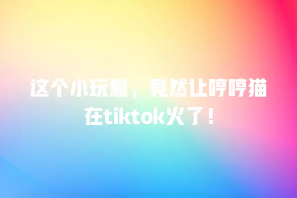 这个小玩意，竟然让哼哼猫在tiktok火了！ 一