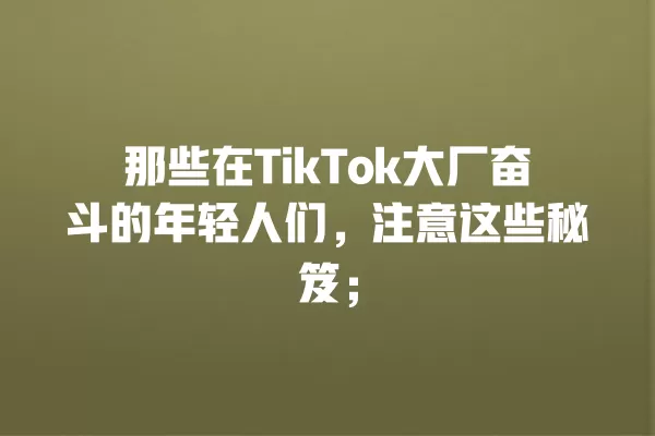 那些在TikTok大厂奋斗的年轻人们，注意这些秘笈； 一
