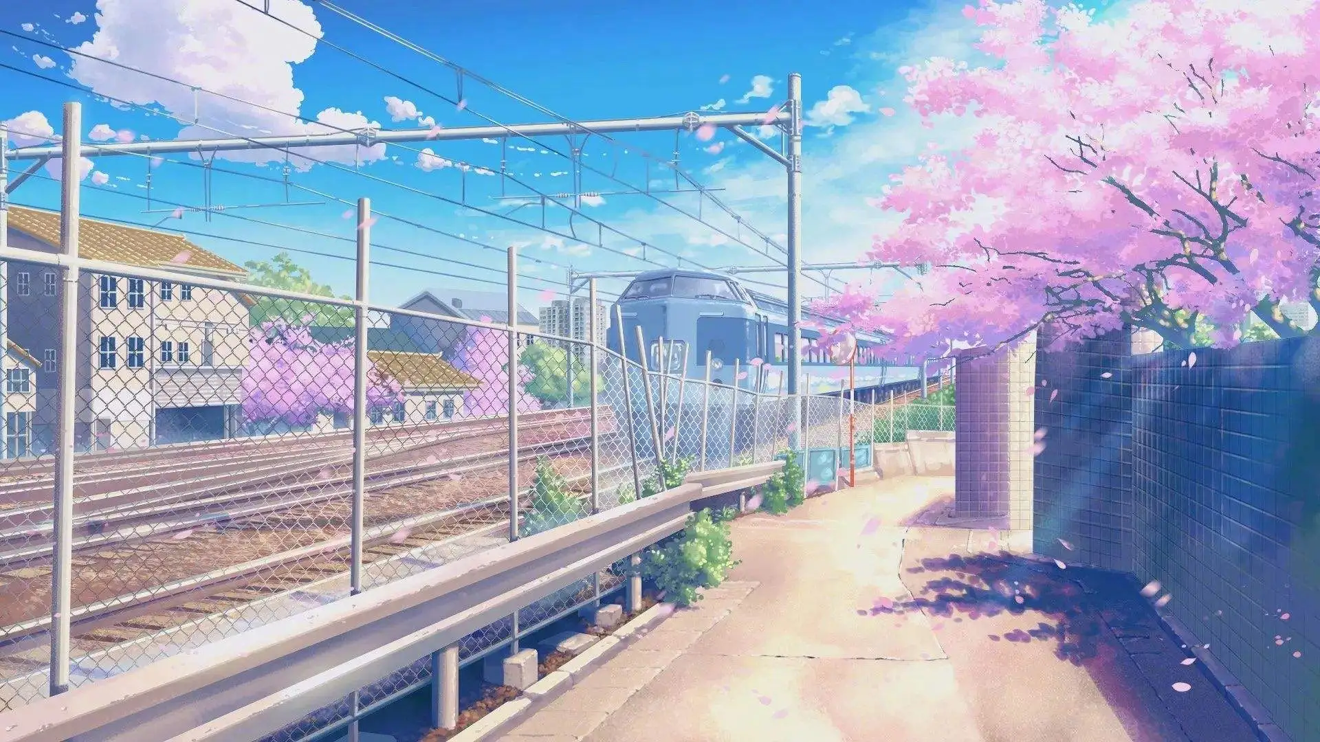 了解tiktok少儿内容创作技巧，让你轻松吸引更多孩子的关注 二