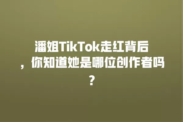 潘姐TikTok走红背后,你知道她是哪位创作者吗? 一