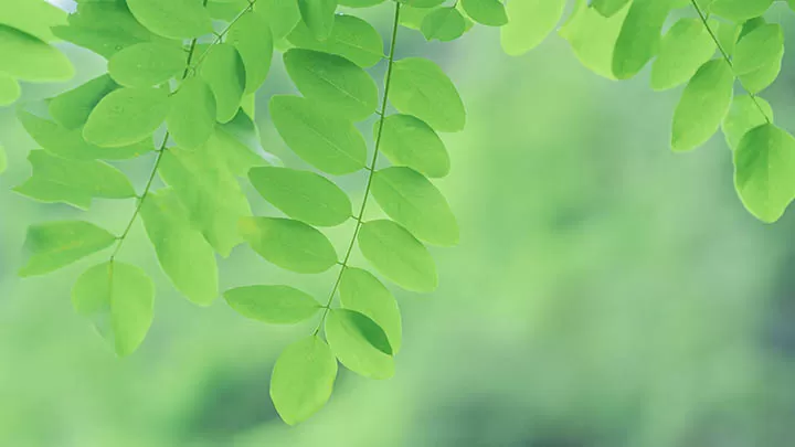 澳门拍照打卡2个月，我踩了6个坑 一
